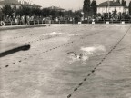 Gare di nuoto nella piscina aziendale.